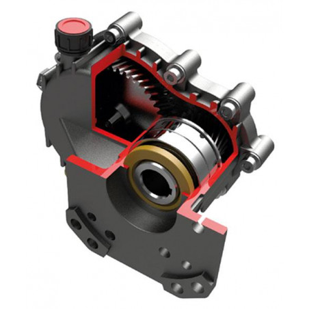 Reductor Interpump RGB 24